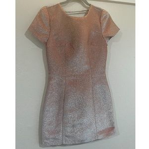 EXPRESS Blush Glitter Dress